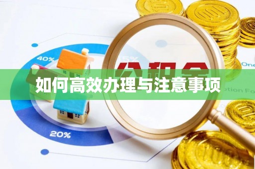 宜都如何高效办理与注意事项