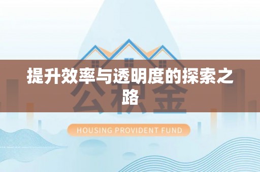 宜都提升效率与透明度的探索之路