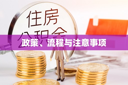 宜都政策、流程与注意事项