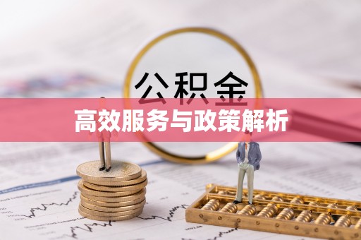 宜都高效服务与政策解析