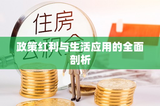 宜都政策红利与生活应用的全面剖析